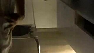 I admire the beauty of Polish pornstar Ewa Kwencynska