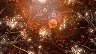 hatsune miku velvet arabesque project diva nude mod full nude