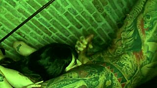 Tatted dark haired girl licks ass and pussy in cowgirl position