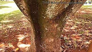 i love showing off in public with big dick fucking my ass luna oliveira e vagninho adventure