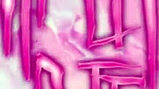 asuka evangelion cosplay with anal creampie