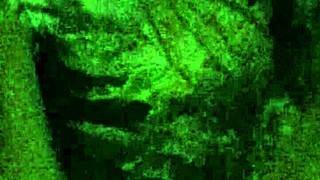 breed whore says, 'fuck me and fill me with cum'