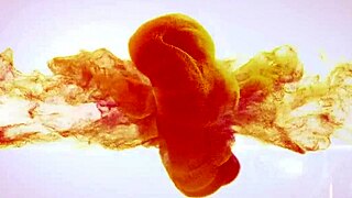 WETANDPISSY - PISS SOAKED TOY PLAY