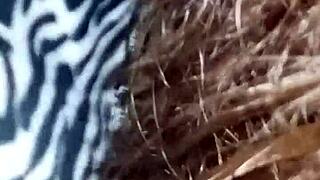 Amateur BBW with big ass and tits gets hardcore fucked by daddy in homemade video