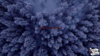 Natal present from leticia ferola with big ass and small tits in brazilian lesbian action