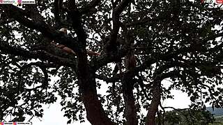 Enfiei A Piroca Na Loira E Na Morena Em Cima Da Arvore No Meio Da Rua Assista Ao Video Completo Xvideos Red Emi Rippi