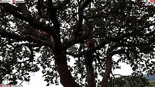 Enfiei A Piroca Na Loira E Na Morena Em Cima Da Arvore No Meio Da Rua Assista Ao Video Completo Xvideos Red Emi Rippi