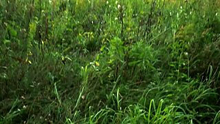 Real amateur couple enjoys outdoor adventure in the forest