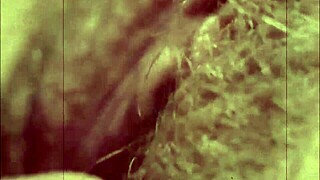 vintage hairy beaver gets interracial fucking with blowjob?