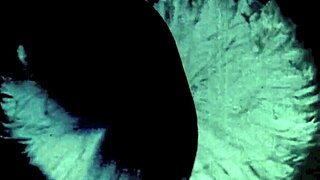 vintage hairy beaver gets interracial fucking with blowjob?