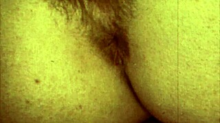 vintage hairy beaver gets interracial fucking with blowjob?