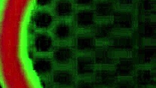 Its just rome major fucking marcy diamonds plump pussy by the pool