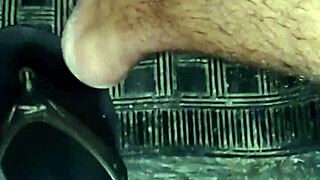 Bruna Silva hotwife, are you ready for raw fucking and cum in your pussy inside the car while cuckold films?