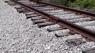 Fisherman finds stripper on the run and gives her dirty shower in outdoor sport scene