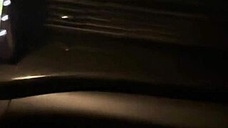 Me la Chupa una Desconocida que Me Llevo por la Carretera with Big Ass Flashing