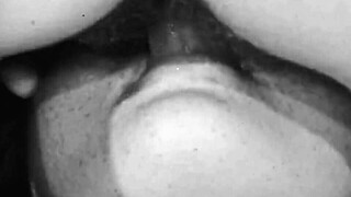 hey, these vintage lesbians are diving into hairy beaver action together