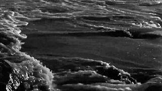 Vintage Erotic Art Showcases Hairy Beaver And Pussy