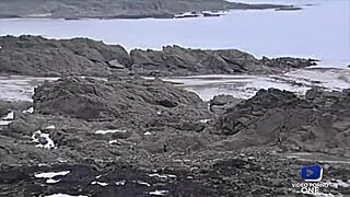 Blonde French milf Dolly Golden with big tits gets assfucked by friend's husband!