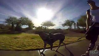 Getting caught giving outdoor public blowjob in a cave leads to intriguing couple cumshot action