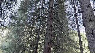 Public Pissing Compilation Contrasts Nature Car Travel POV