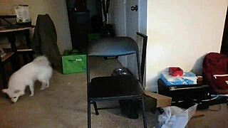 Slutty Ex Bitch Teen Riding Big Black Cock In Ass