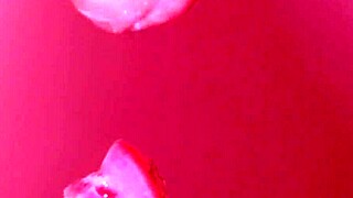 hey daddy, why is your japanese stepdaughter giving close-up blowjob?