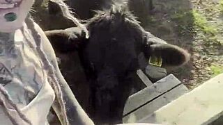 I am a country girl at heart, finding my peace in nature while soaking up the sun and embracing the calm.