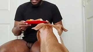 llamasr update 1 from march 18 2025 with solo food content