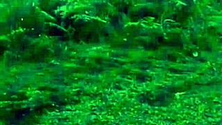 Petite latina bent over for stranger's outdoor doggystyle fuck