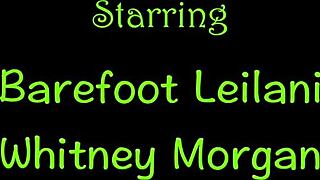 MILF BOSS FORCES YOUNG BLONDE TO WORSHIP NYLON FEET!