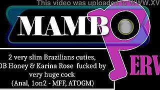 Hey slim Brazilian cuties, monster cock anal mff awaits!